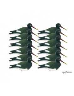 Blette de pie de mer x12