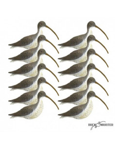 Blette de courlis x12