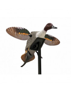 Pilet à ailes tournantes...