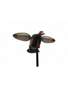 Milouin à ailes tournantes...