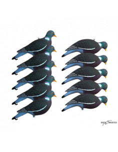 Forme Vision Pigeon HD x12