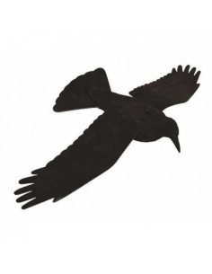 Forme de corbeau ailes...