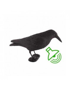 Forme de corbeau croasseur