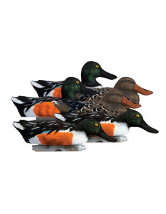 Forme de souchet insubmersible