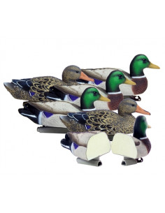 Forme de colvert insubmersible