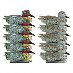 Blette de sarcelle classique