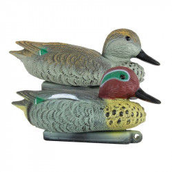 Blette de sarcelle classique 2