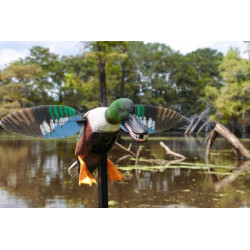 Mojo Spoonzilla Souchet