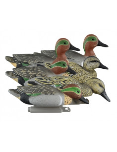 Forme de sarcelle...