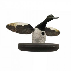 Morillon à ailes tournantes...