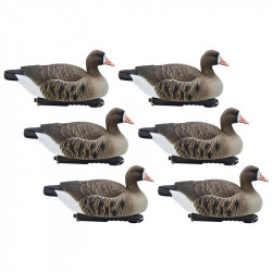 Formes d'oie rieuse...