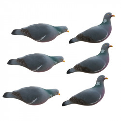 Formes de pigeon floquées...