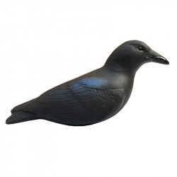 Formes de corbeaux actives... 2