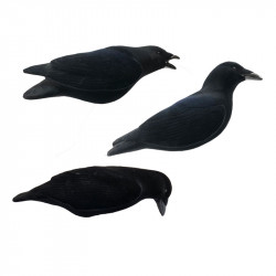 Formes de corbeaux actives...